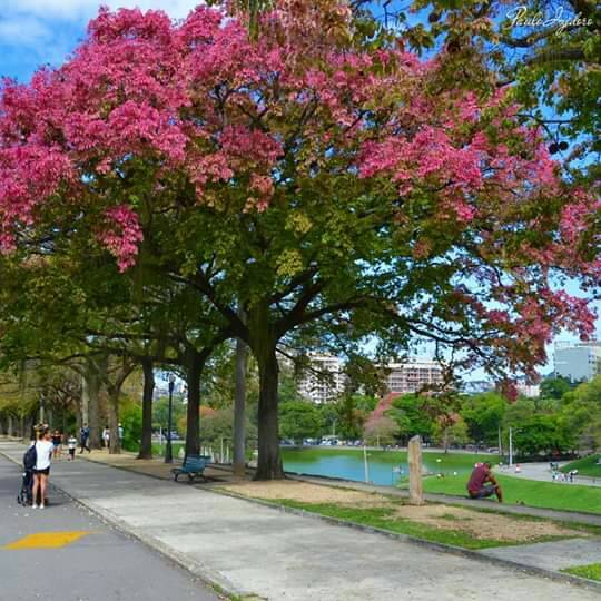 Lugar Quinta da Boa Vista