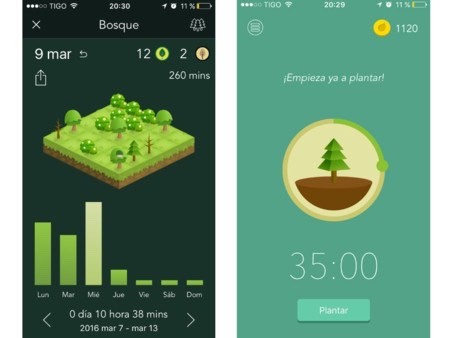 App Forest