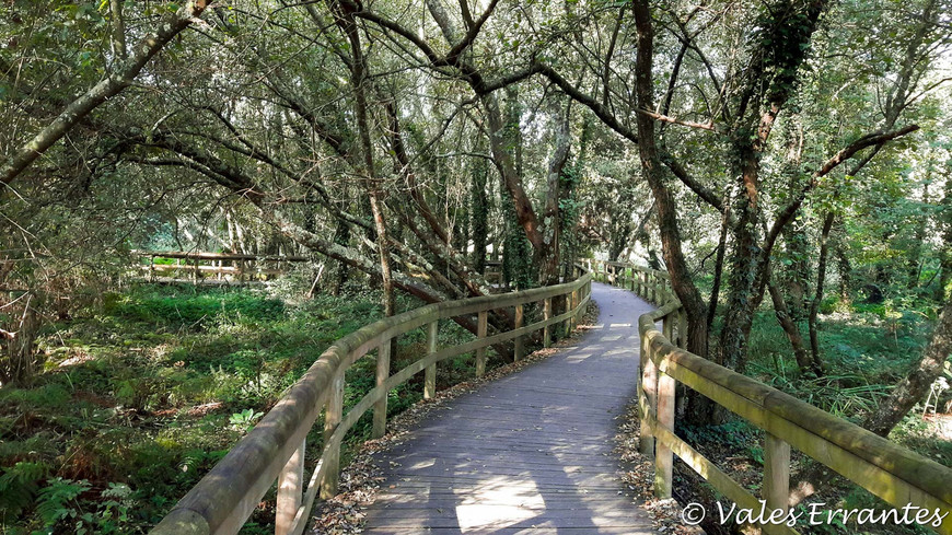 Lugares Parque das Ribeiras Rio Uíma