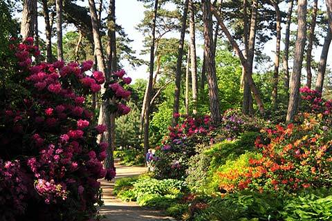 Place Parc Floral de Paris