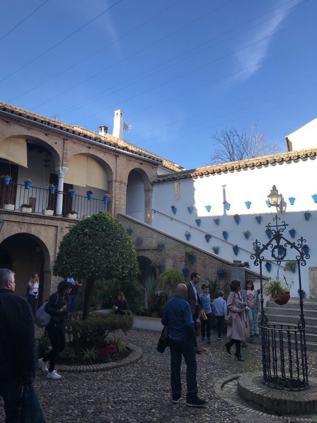 Place Patio Cordobés