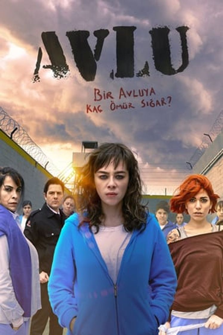 Serie Avlu: El patio