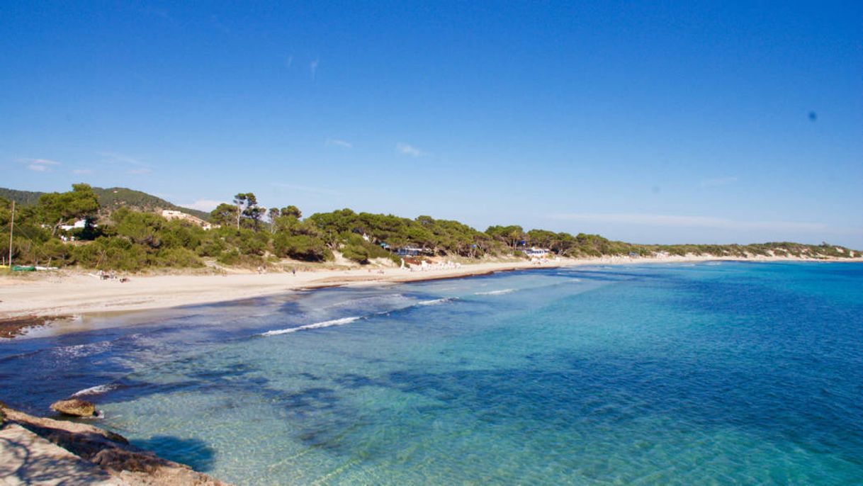 Lugar Platja de ses Salines