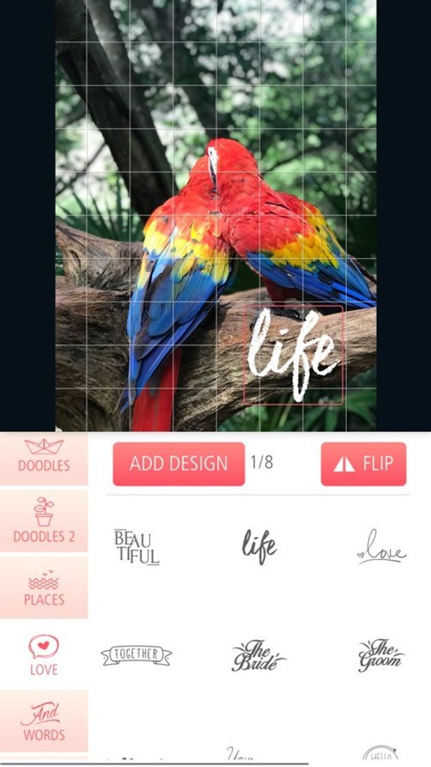 App Typic - Text on Photos