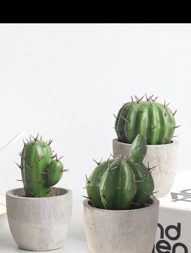 Product Decoración cactus   