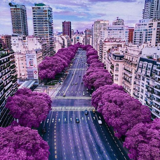 Buenos Aires