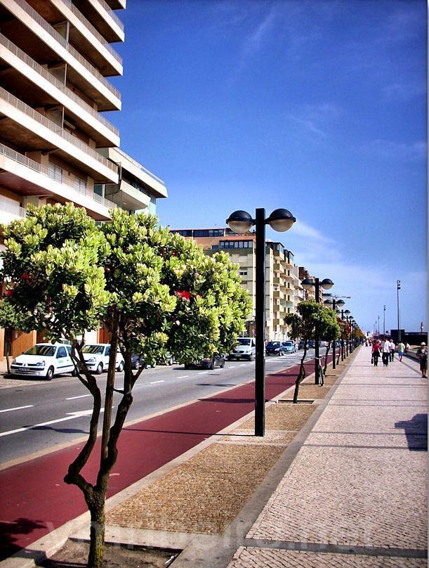 Lugar Avenida dos Banhos