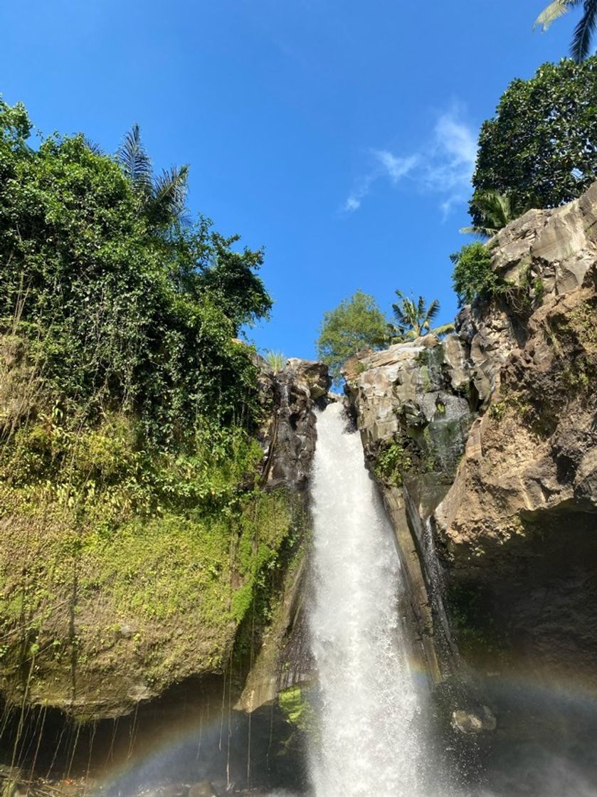 Place Tegenungan Waterfall