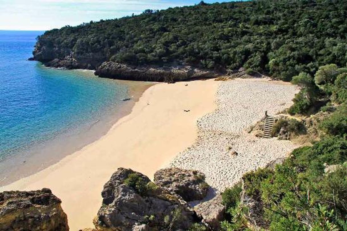 Lugar Praia dos Coelhos