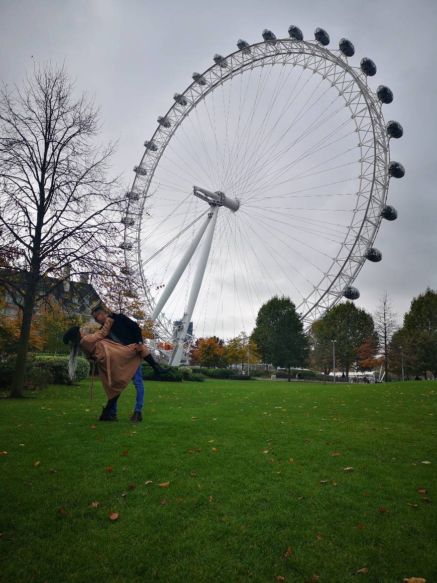 Place London Eye