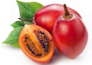 Social Tomate inglês