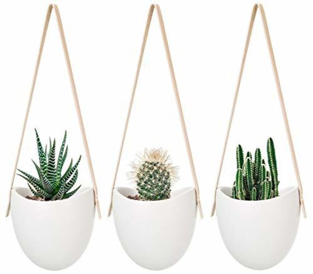 Social Mkouo cerámica Colgante plantador suculento Aire Planta Maceta decoración de la Pared