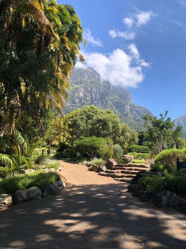 Place Kirstenbosch National Botanical Garden