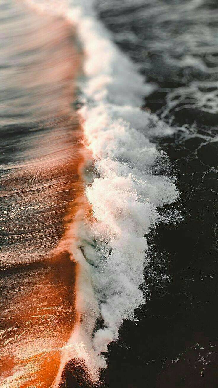 Wallpaper