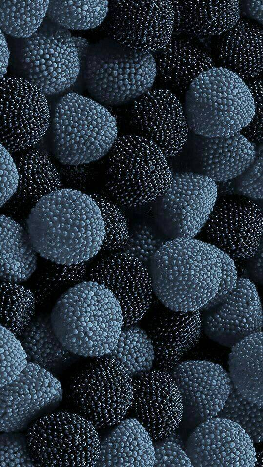 Wallpaper