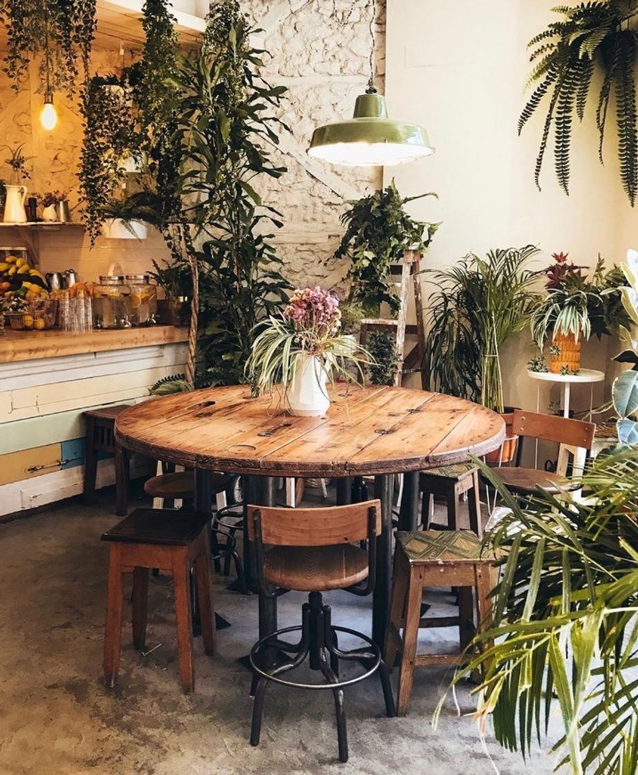 Restaurante FAUNA & FLORA