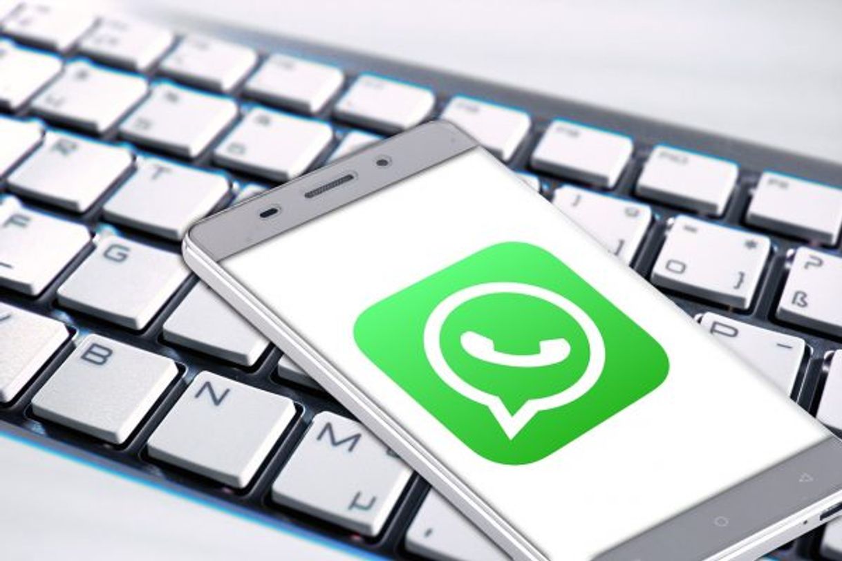 Moda TECNOLOGÍA
El truco de WhatsApp para saber qué contactos est