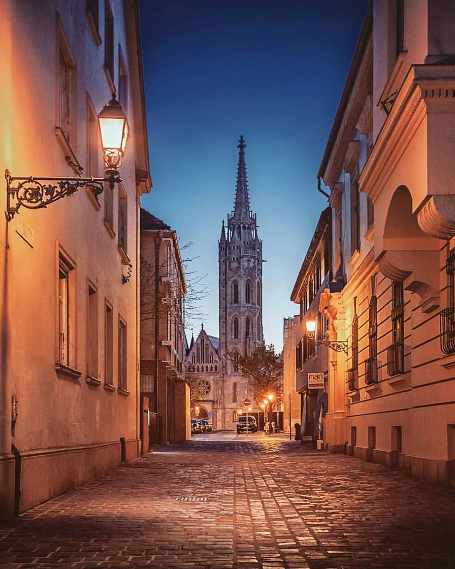 Place Dávid Ferenc utca