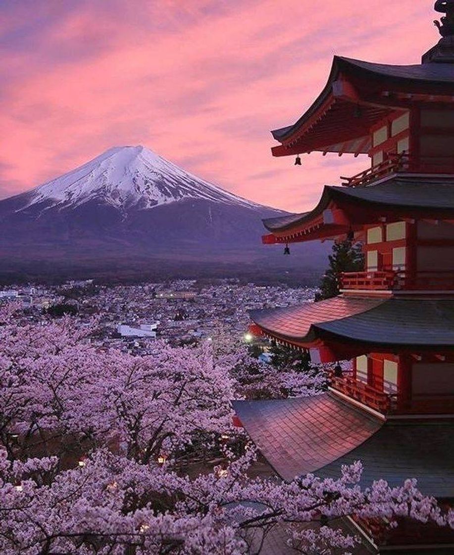 Place Mount Fuji Japan 