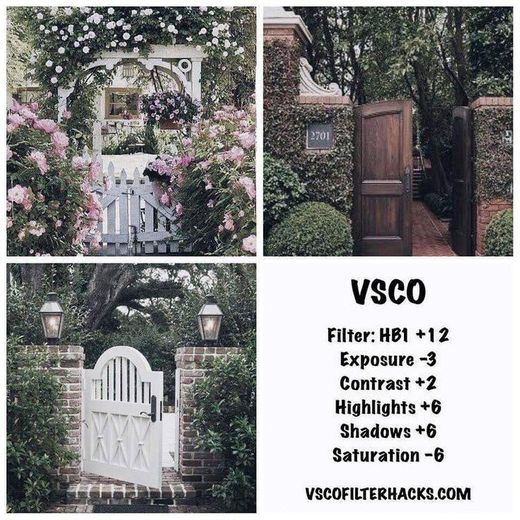 VSCO Filter