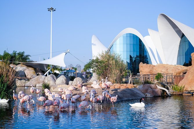 Place Oceanográfic