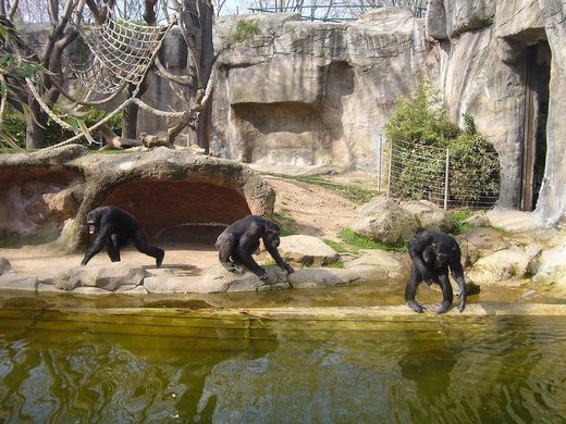 Zoo Barcelona