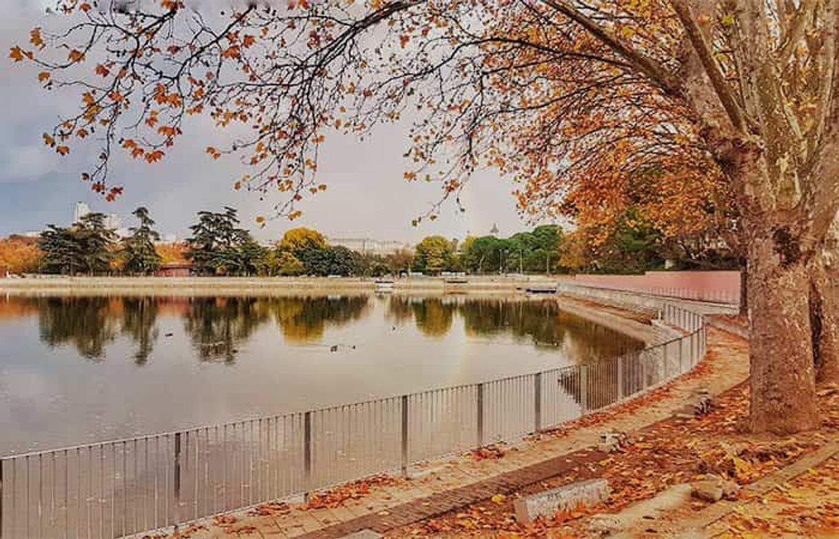 Place Paseo de la Casa de Campo