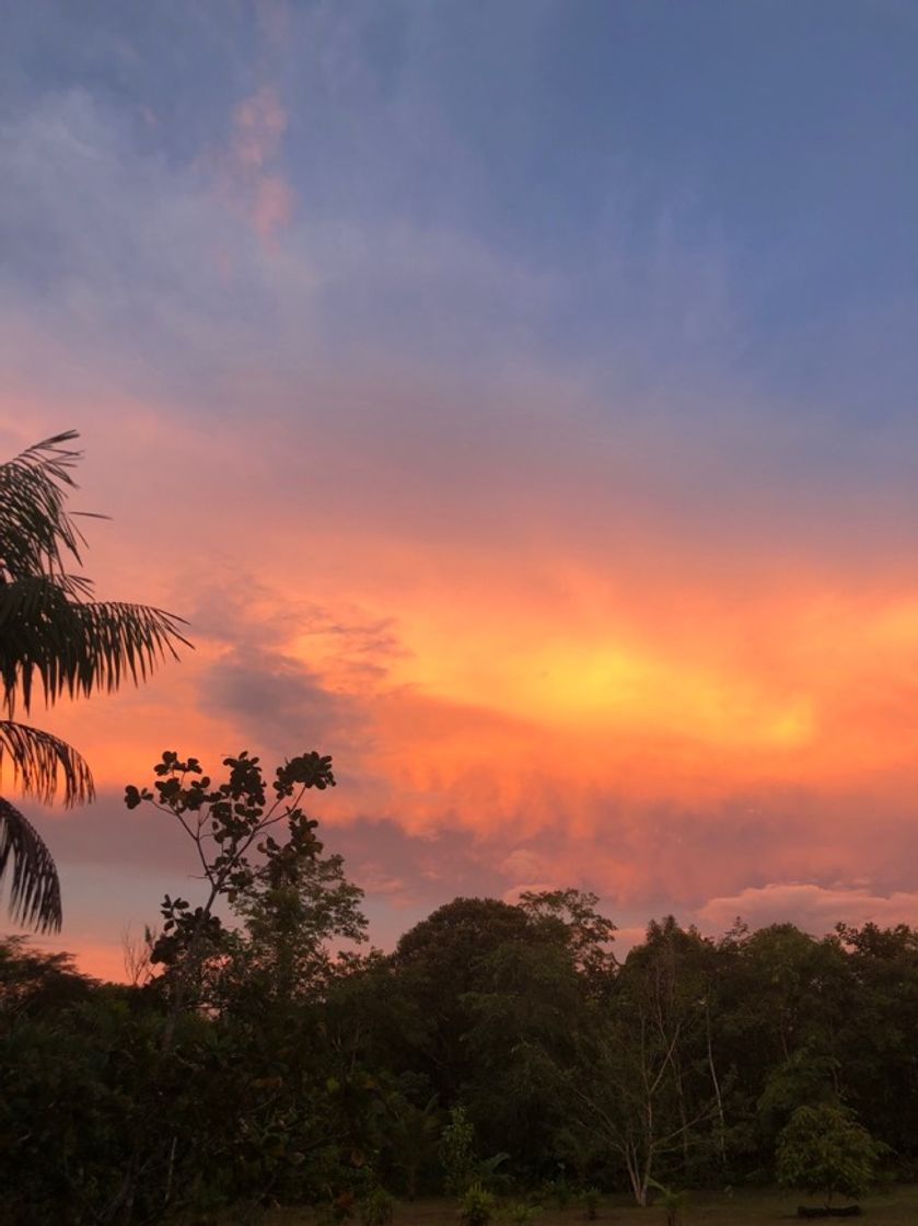 Place Manaus
