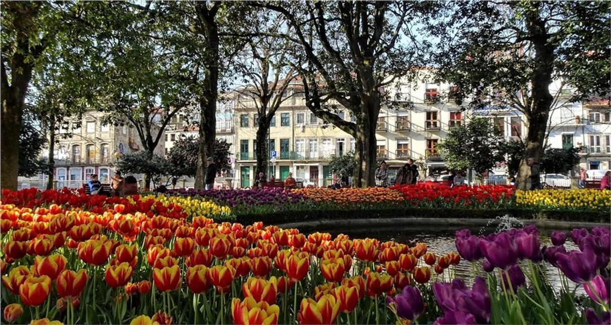 Place Jardim de Marques de Oliveira