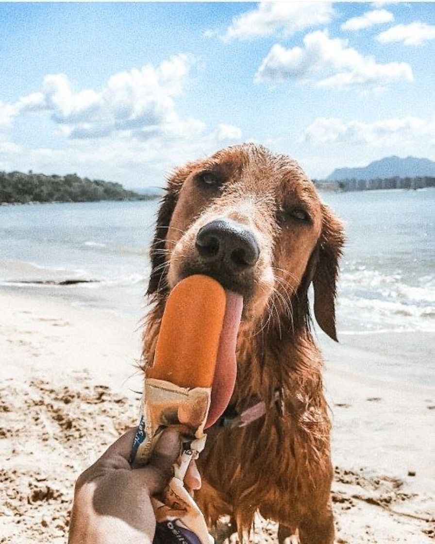 Fashion Dia de calor