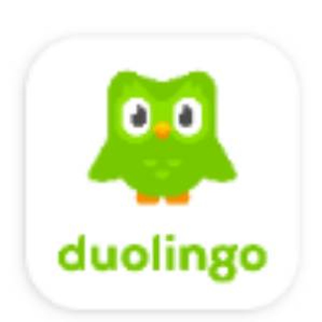 App Duolingo