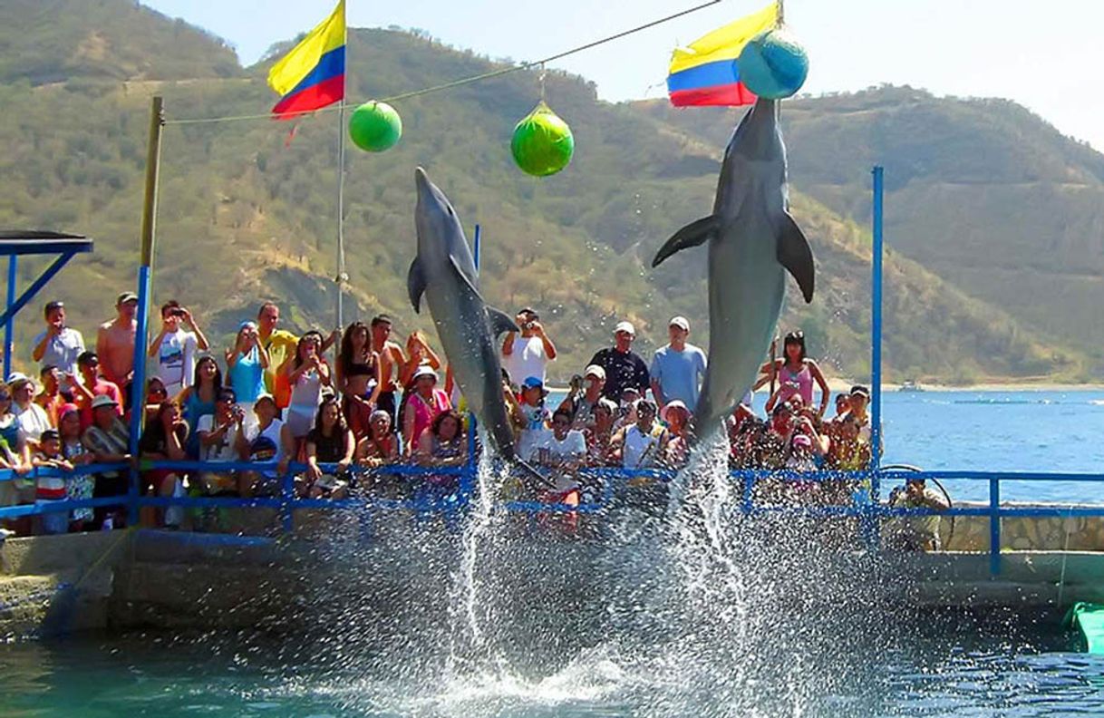 Fashion Acuario Rodadero - Santa Marta