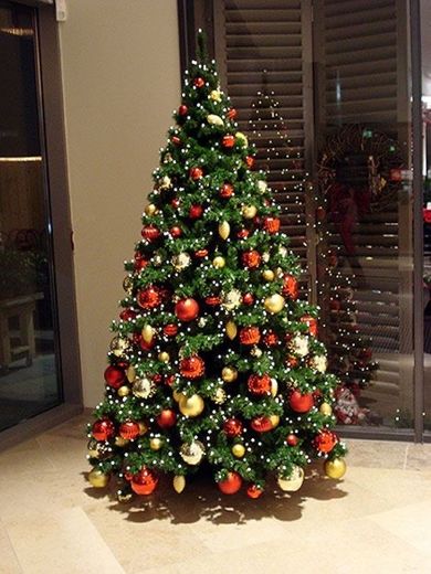 Natal