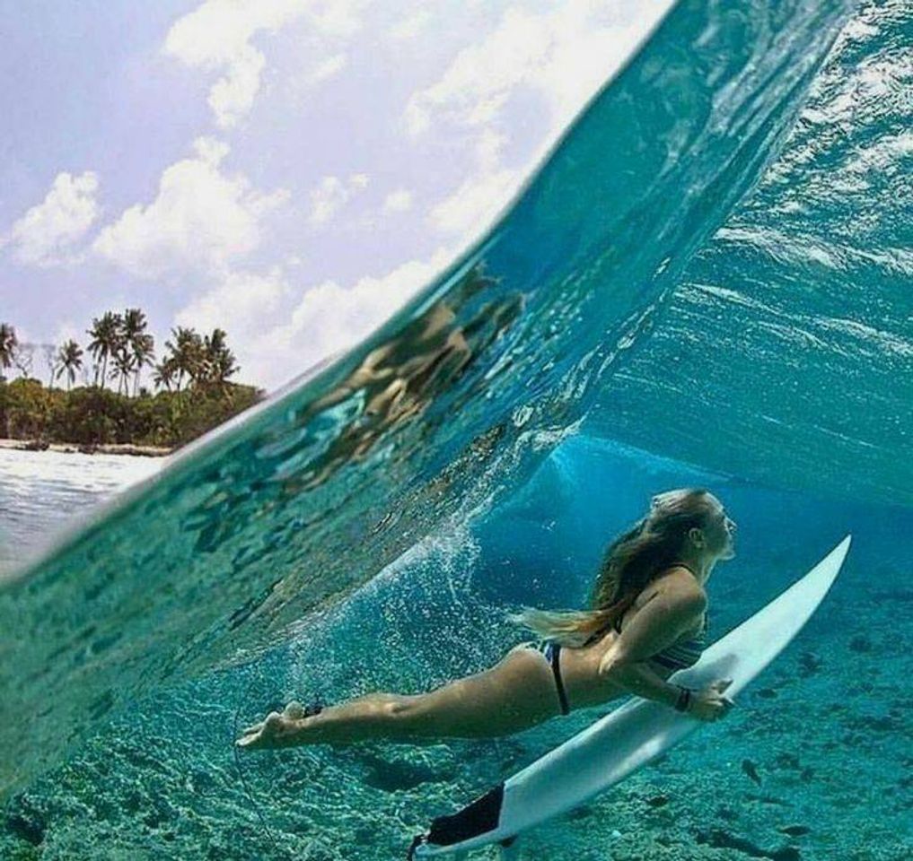 Moda Surf