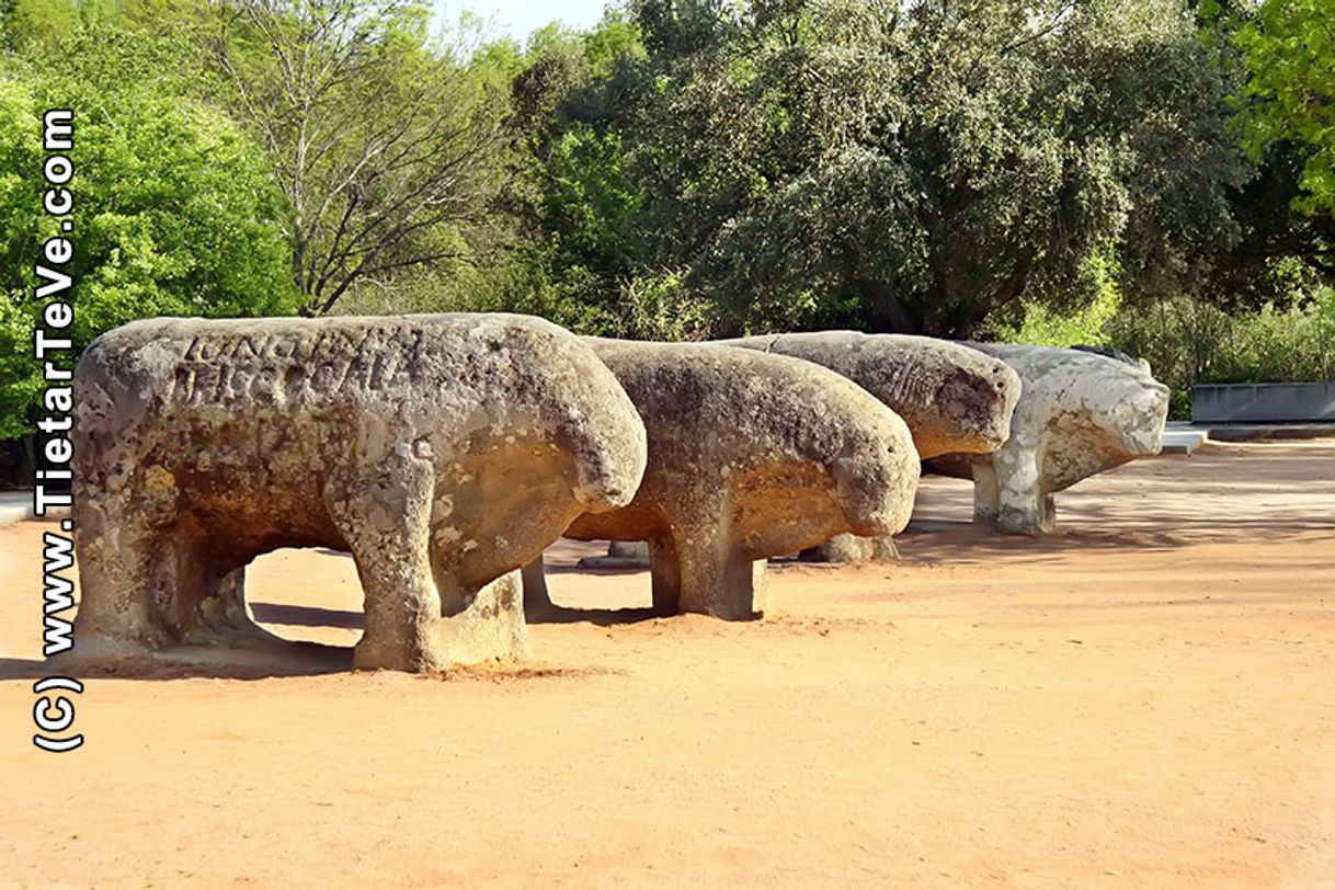 Lugares Toros de Guisando