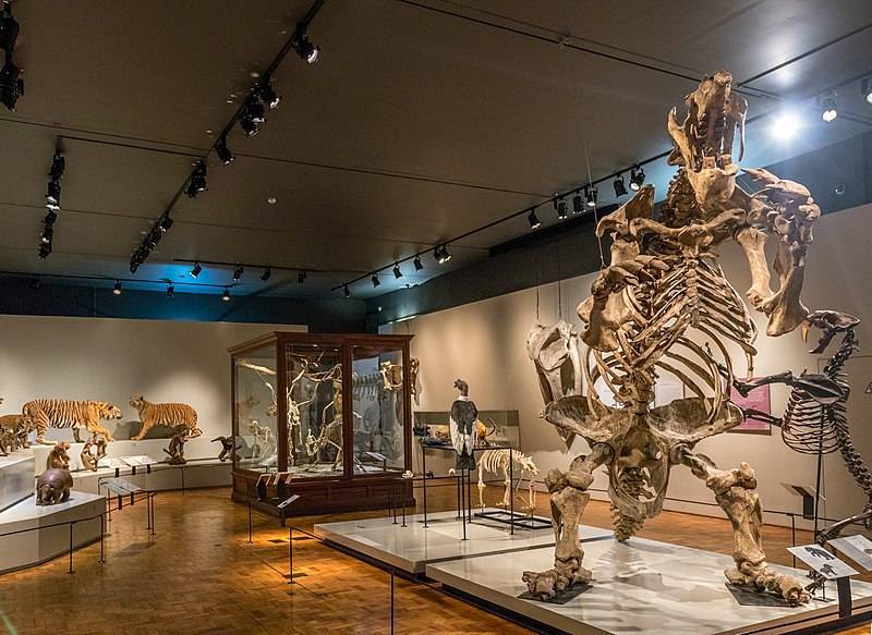 Place Museu de Zoologia da Universidade de São Paulo 

