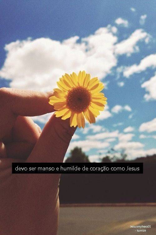 🌻