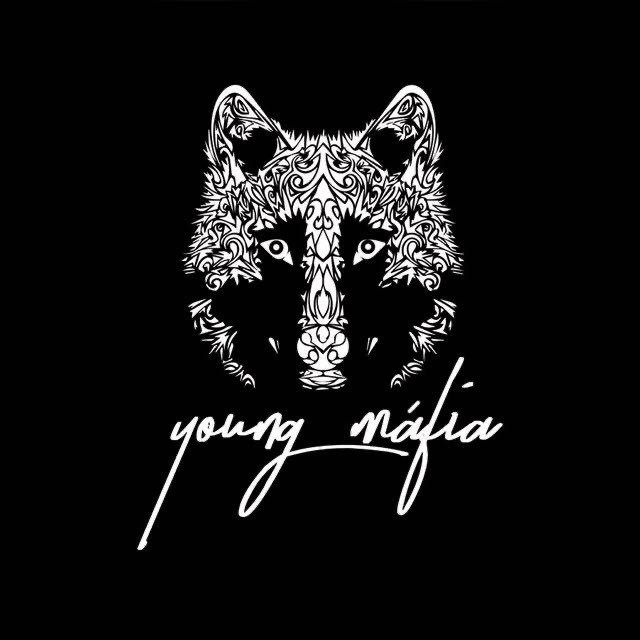 Canciones Young Máfia - King of The Jungle 