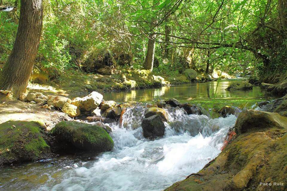 Place Río Majaceite