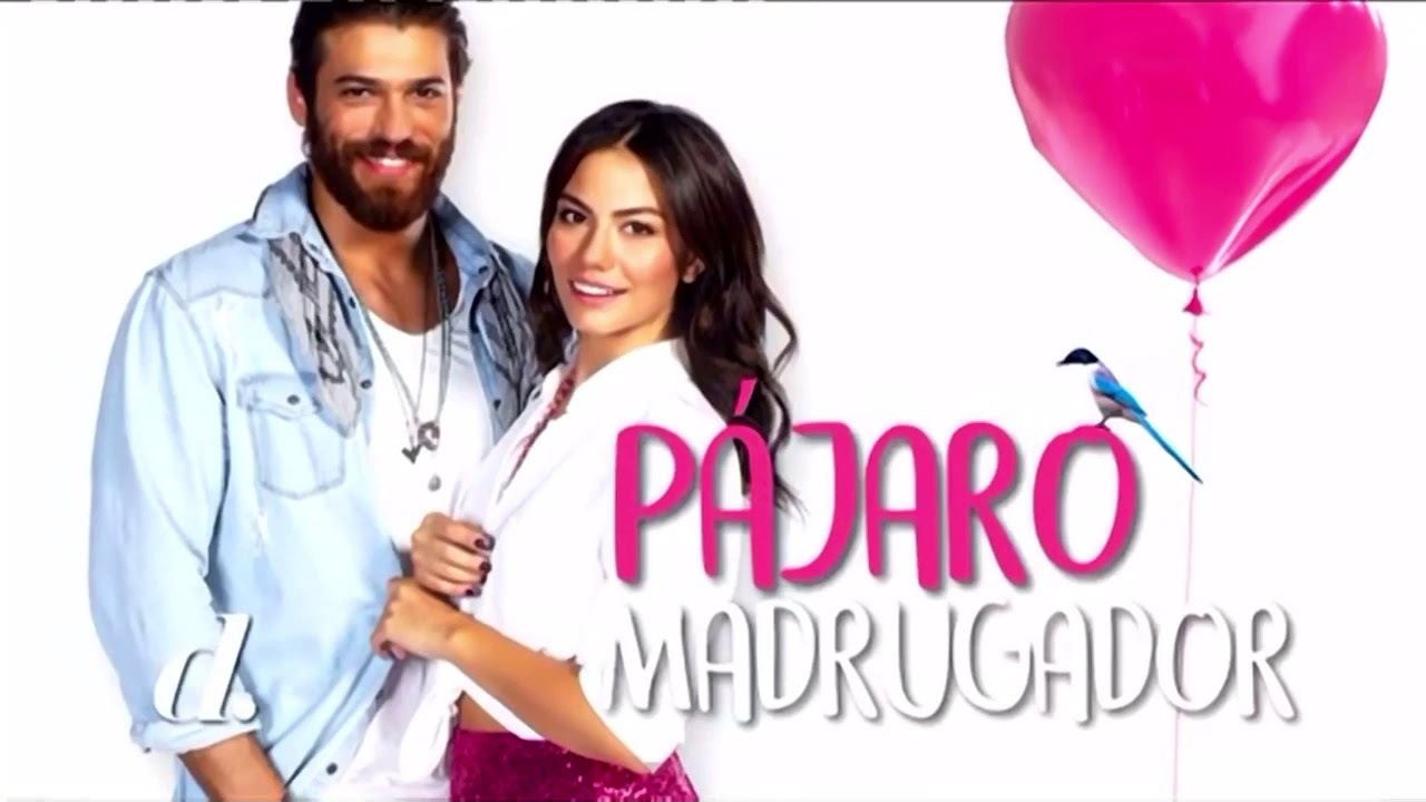 Serie Pajaro Madrugador