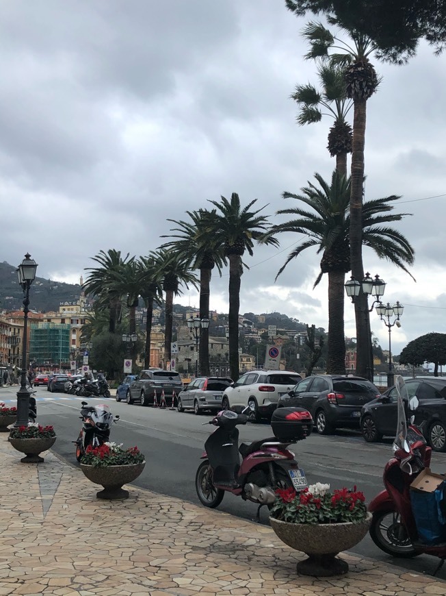 Place Rapallo