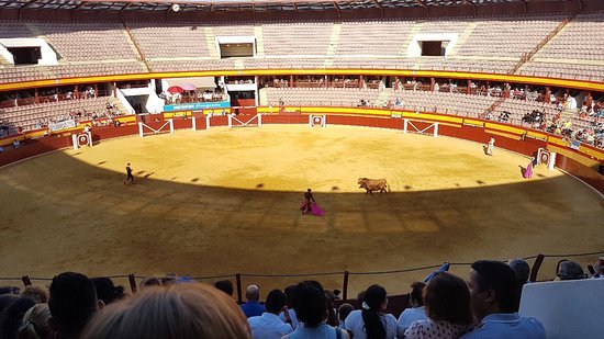 Place Plaza de Toros de Roquetas de Mar