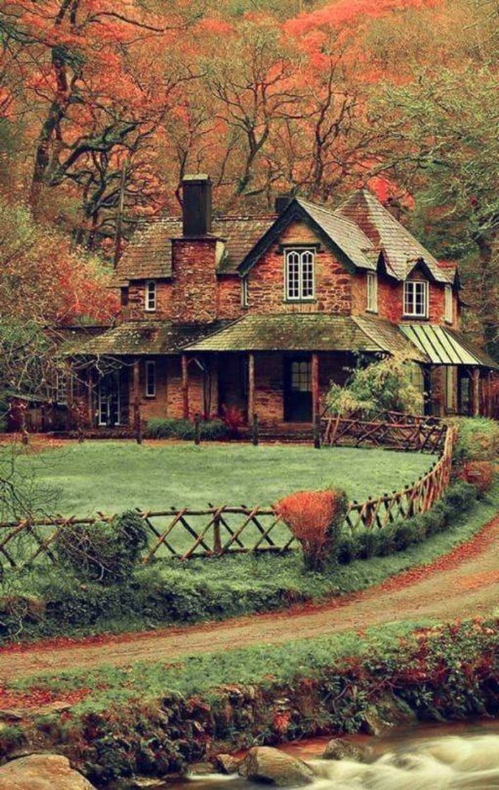 Social Casa