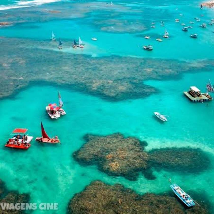 Place Porto de Galinhas