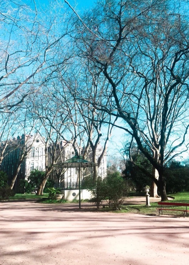 Place Rua do Parque