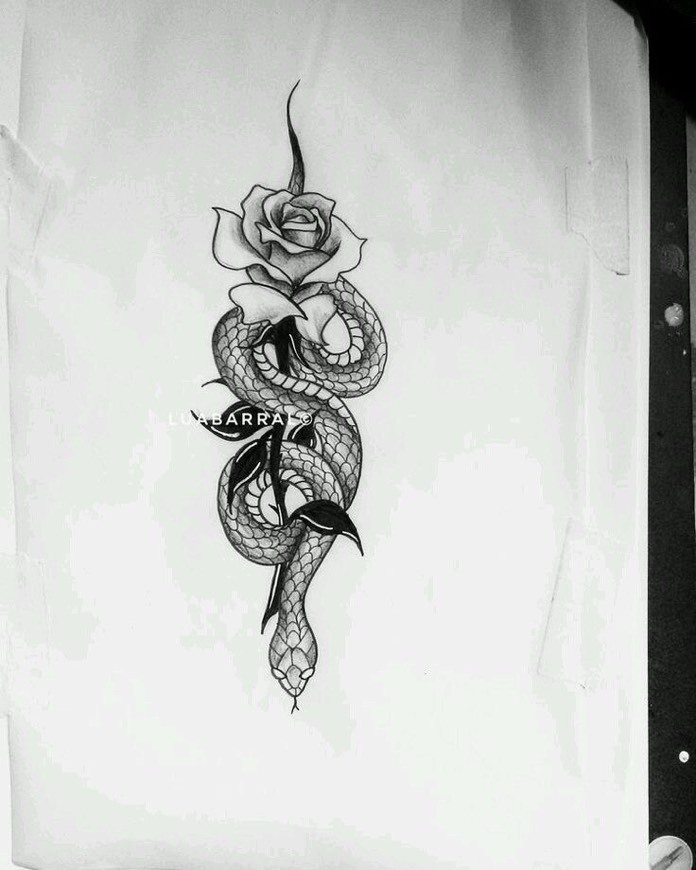 Tatto cobra c/ rosa 