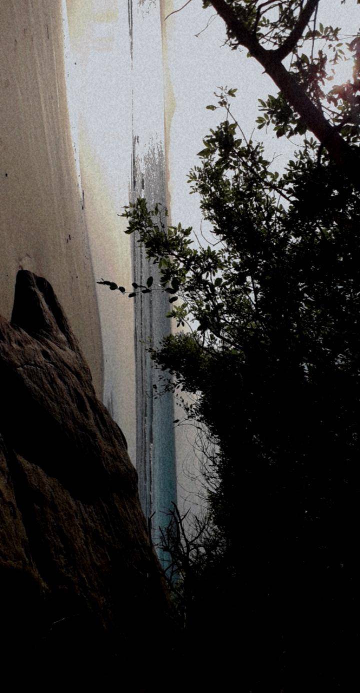 Restaurants Praia do Forte