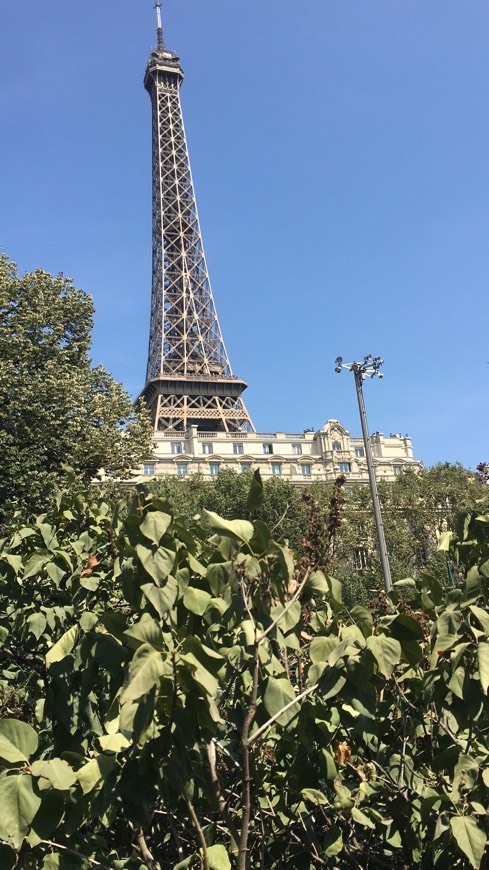 Place París