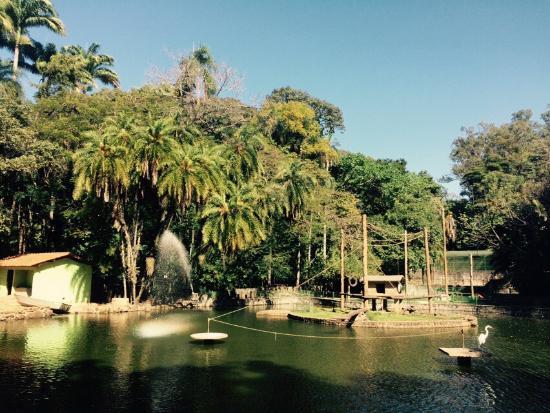 Place Zoológico Municipal de Campinas Bosque do Jequitibas