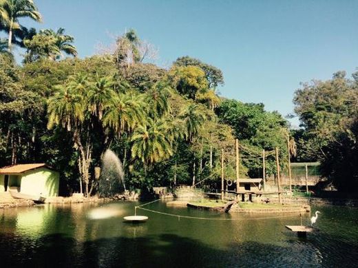 Zoológico Municipal de Campinas Bosque do Jequitibas